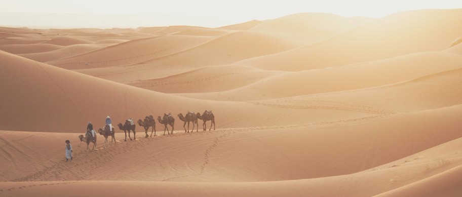 Escursione a dorso di cammello nel deserto egiziano